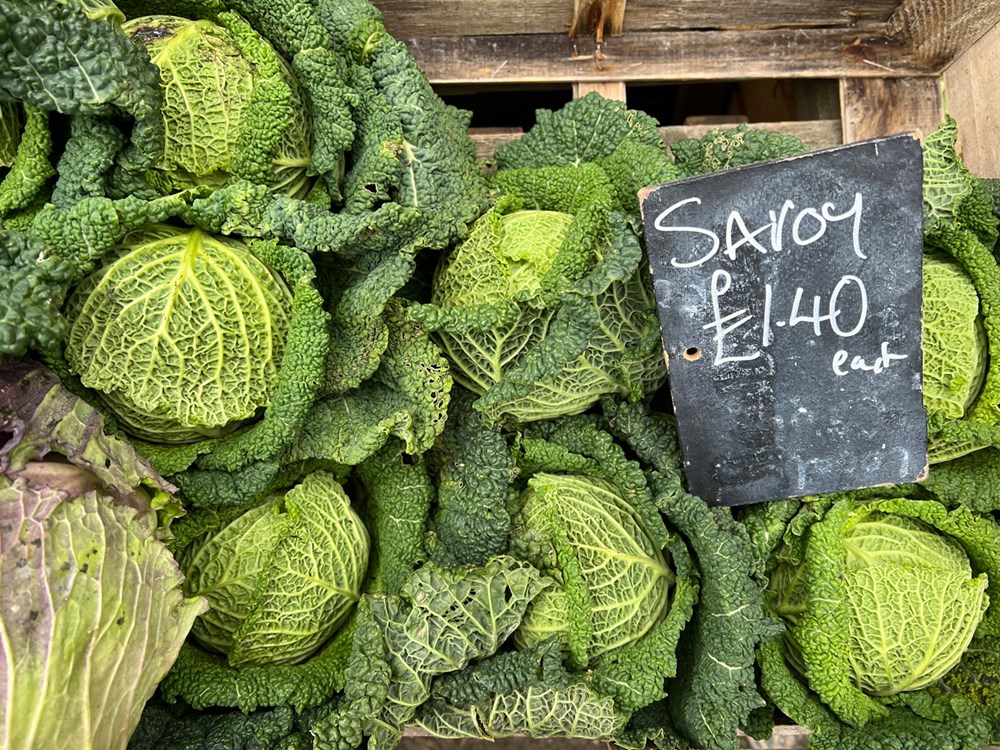 savoy cabbages on sale