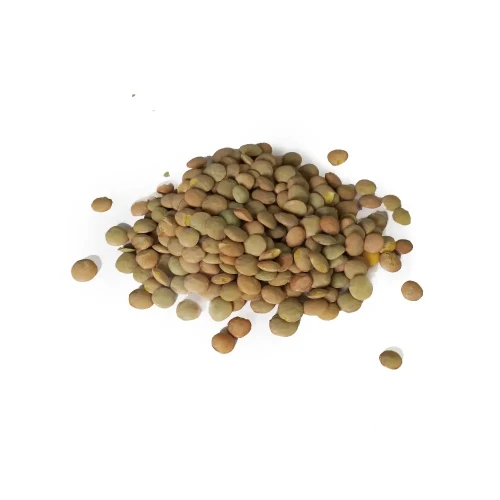  Green Lentils 25kg