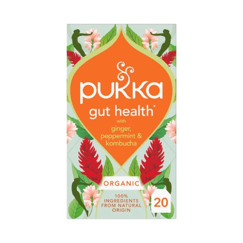 Pukka Gut Health Peppermint Ginger & Kombucha 20Bag Org