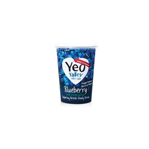 Yeo Valley Organic Yogurt Blueberry and Lime 450g