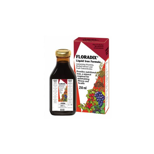 Salus-Haus Floradix Formula 250ml