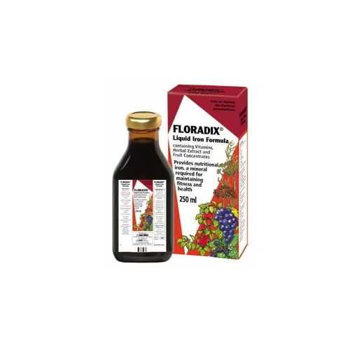 Salus-Haus Floradix Formula 250ml
