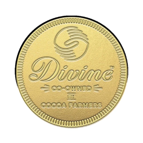 Divine Giant Milk Chocolate Gold Coin 58g