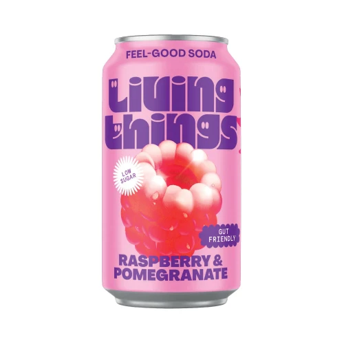 Living Things Raspberry & Pomegranate Soda 330ml