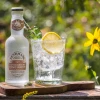 Fentimans Connoisseurs Tonic Water (8 * 500ml)