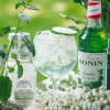 Fentimans Gently Sparkling Elderflower Drink (12 * 275ml)