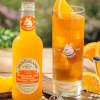 Fentimans Mandarin And Seville Orange Jigger (12 * 275ml)