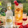 Fentimans Premium Indian Tonic Water (6*4x200ml)