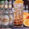 Fentimans Premium Indian Tonic Water (6*4x200ml)
