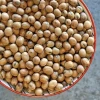 Hodmedod's Whole Dried Fava Beans (12 * 500g) (Org)