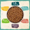 Benevo® Original Vegan Dog Food (10kg)