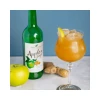 James White Apple & Ginger Juice (6 * 750ml) (Org)