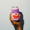 Living Things Raspberry & Pomegranate Soda (12 x 330ml)