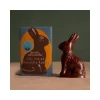 Radek's Chocolate Silky Almond Chocolate Rabbit (10 * 50g) (Org)