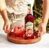 Rocks Drinks Summer Fruits Squash (6 * 740ml)